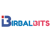 Birbal Bits Logotype