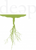 Provider Logotype Disruptive Equity Education Project Logo