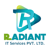 Radiant IT Services Pvt Ltd Logo