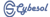 Cybesol - Digital Marketing Agency Pakistan Logo