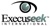 Execuseek International Logo