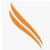 Phoenix Cyber Logo