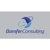 BAMFER Consulting LLC Logo