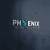 Phoenix Digital Solutions Logo