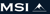 MSI Management and Consulting Inc. Logo