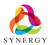 Synergy HR Consulting Logo