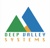 Deep Valley Systems Pvt. Ltd. Logo
