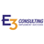 E3 Consulting Logo