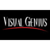 Visual Genius Design & Marketing Logo