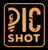 PicShot Studio LLC Logo