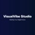 VisualVibe Studio Logo