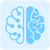 Brainwire Solutions Logo