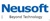 Neusoft Cloud Technology Co,.Ltd Logo