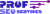 Prof SEO Services Logo