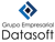 Datasoft Logo