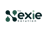 The Nexie Solutions Logo