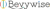 Bevywise Networks Logotype