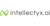 Intellectyx AI Logo