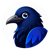 North Animation Logo