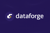 Dataforge Inc. Logo