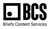 Briefs Content Services Logotype