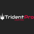 TridentPro Lighting Logo