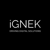 IGNEK Logotype