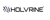 Holvrine International Services Logo