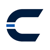 CAPI Logo