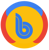 Bunch Infotech Logo