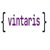 Vintaris Solutions Pty Ltd Logotype