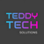 Teddy Tech Solutions Logotype