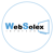 WebSolex Infotech Logotype