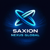 SAXION NEXUS GLOBAL Logotype