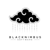 BlackNimbus software Logo