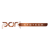 Park Infotech Logo