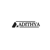 adithyaasokan.in - BEST DIGITAL MARKETING ANALYST IN PALAKKAD Logotype