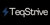 TeqStrive Logotype