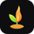 Seed & Lamp Logotype