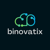 Binovatix Logotype