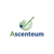 Ascenteum Logotype