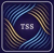 techsynergysources LLC Logo