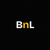 BrandNLead Logotype
