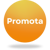 Promota Marketing Logotype