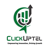 clickuptel solutions pvt ltd Logotype