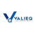 ValieQ Logo