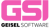 Geisel Software Inc Logotype