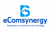 ecomsynergy Logotype