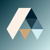 Apini Virtual Logotype