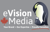 eVision Media Logo